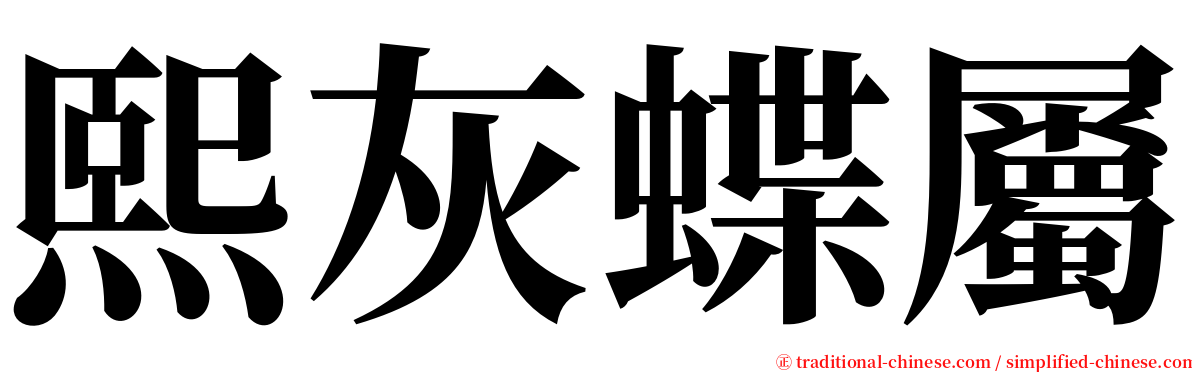 熙灰蝶屬 serif font