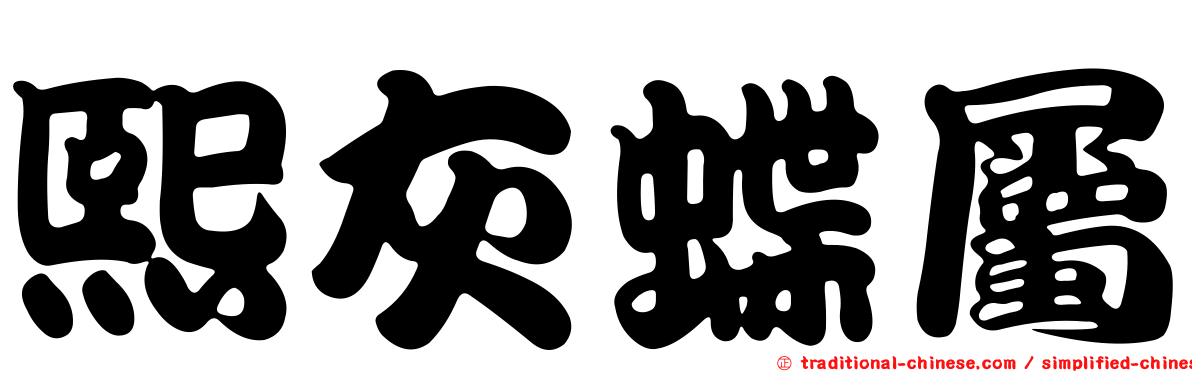 熙灰蝶屬