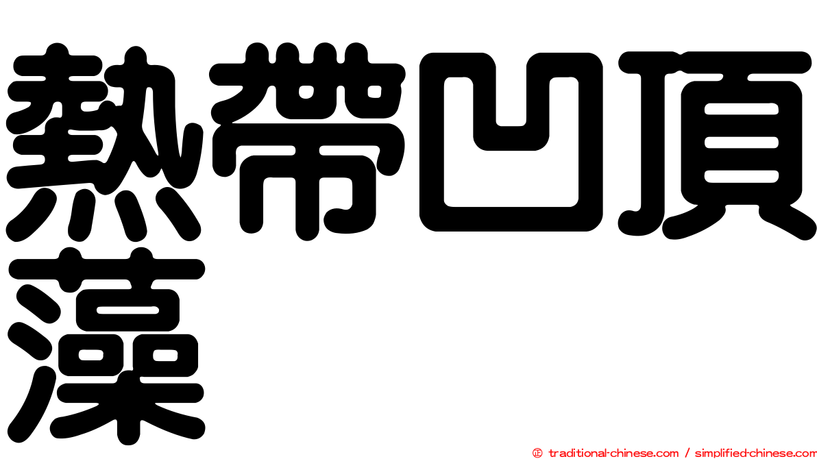 熱帶凹頂藻