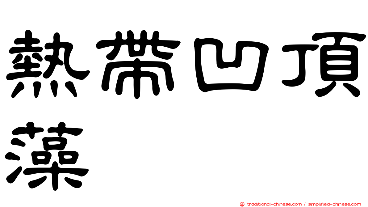 熱帶凹頂藻