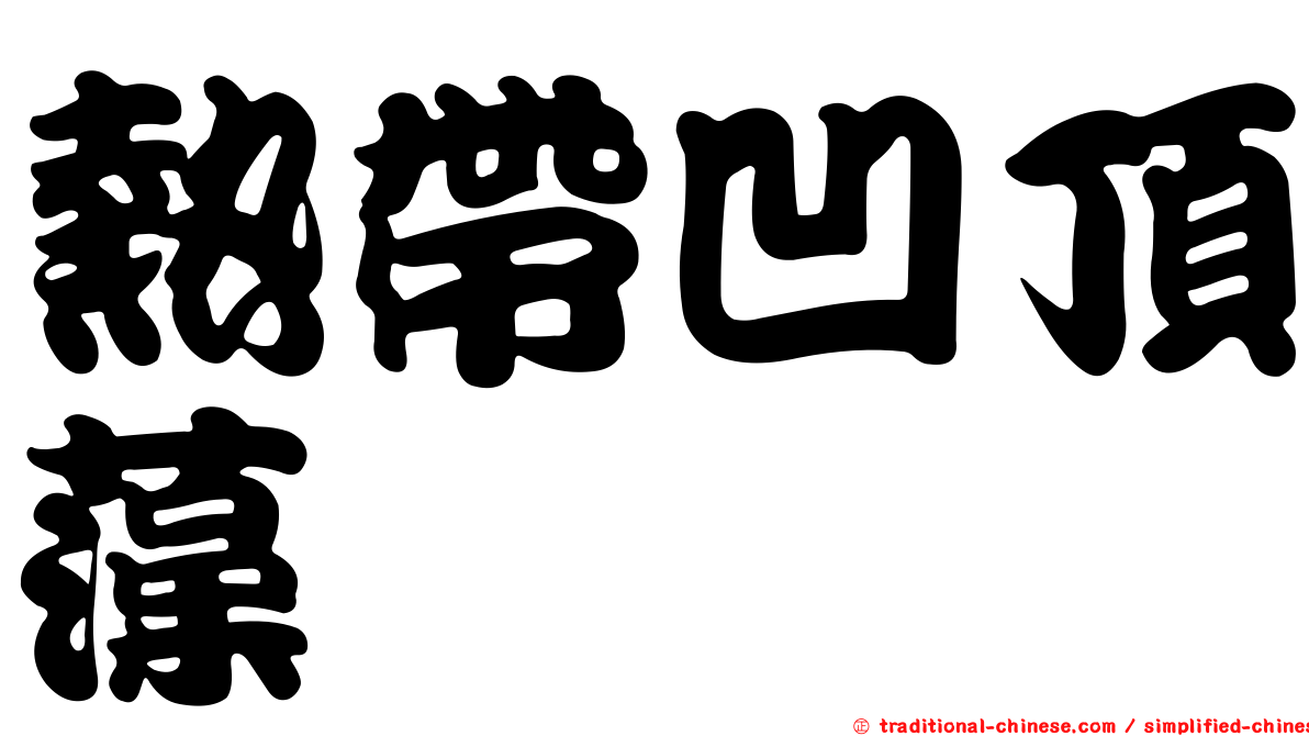 熱帶凹頂藻