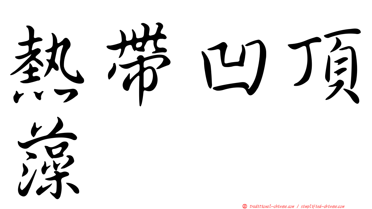 熱帶凹頂藻
