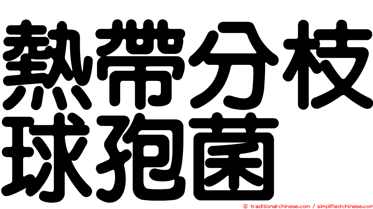 熱帶分枝球孢菌