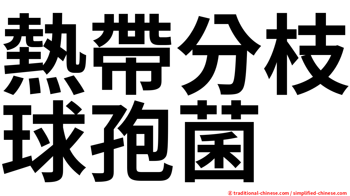 熱帶分枝球孢菌
