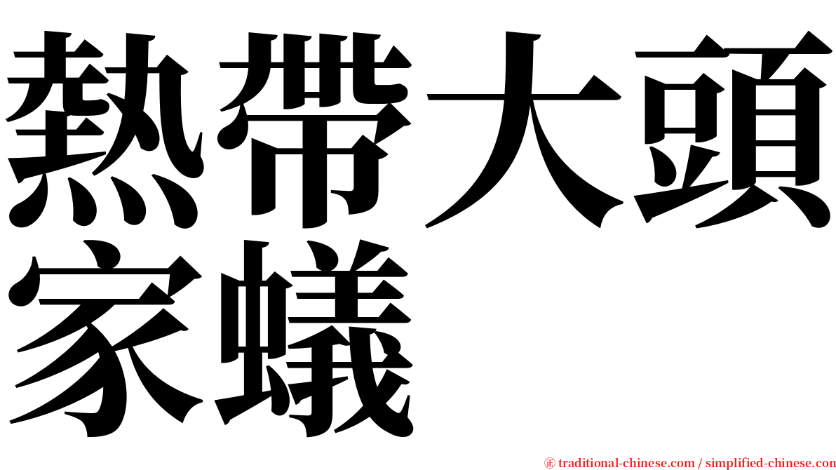 熱帶大頭家蟻 serif font