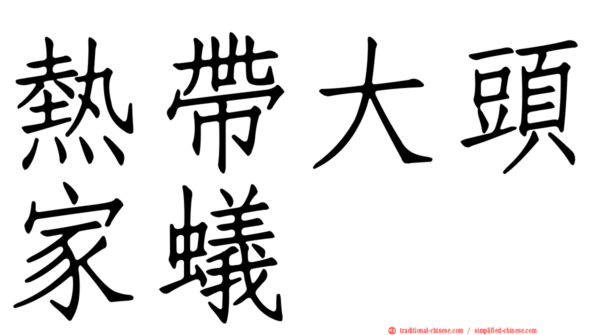 熱帶大頭家蟻