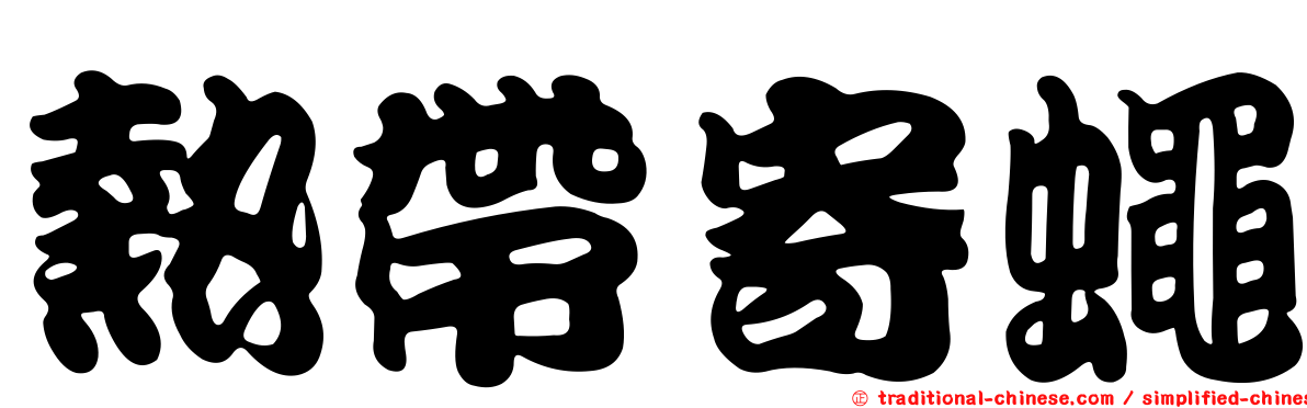 熱帶寄蠅