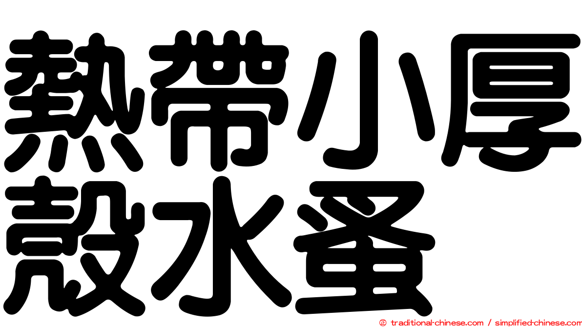 熱帶小厚殼水蚤