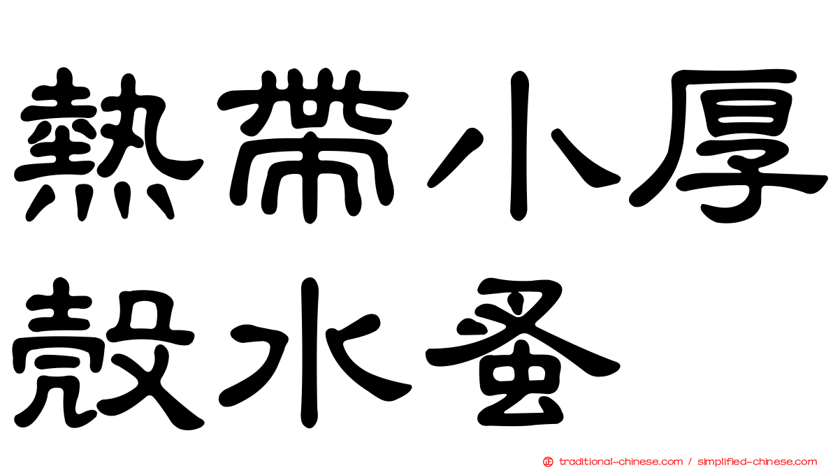 熱帶小厚殼水蚤