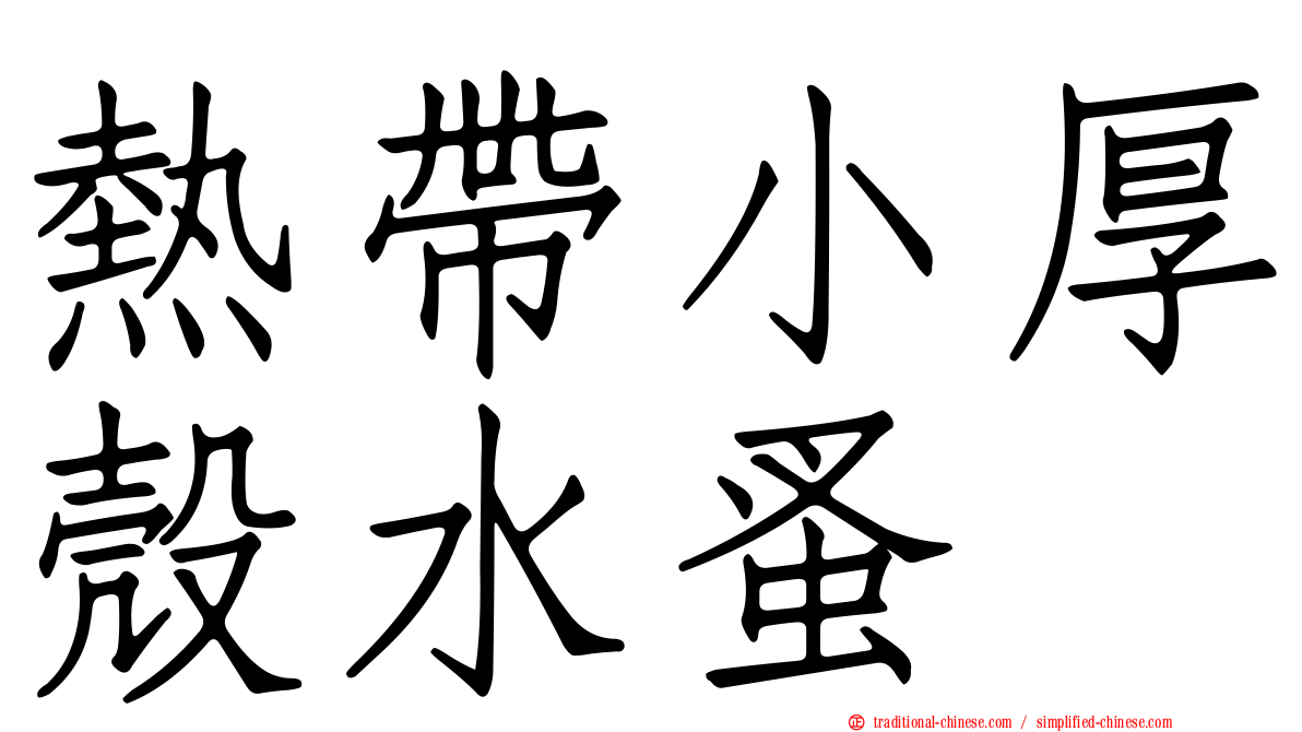 熱帶小厚殼水蚤