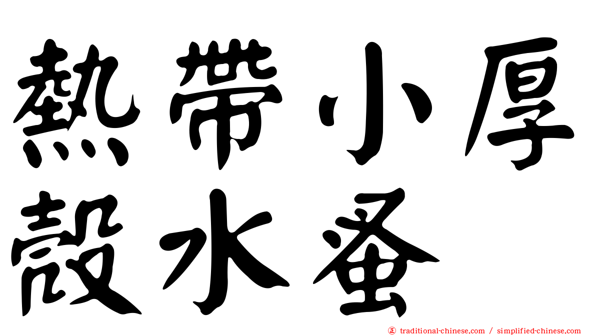 熱帶小厚殼水蚤