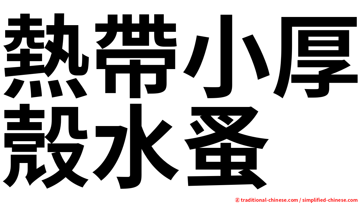 熱帶小厚殼水蚤