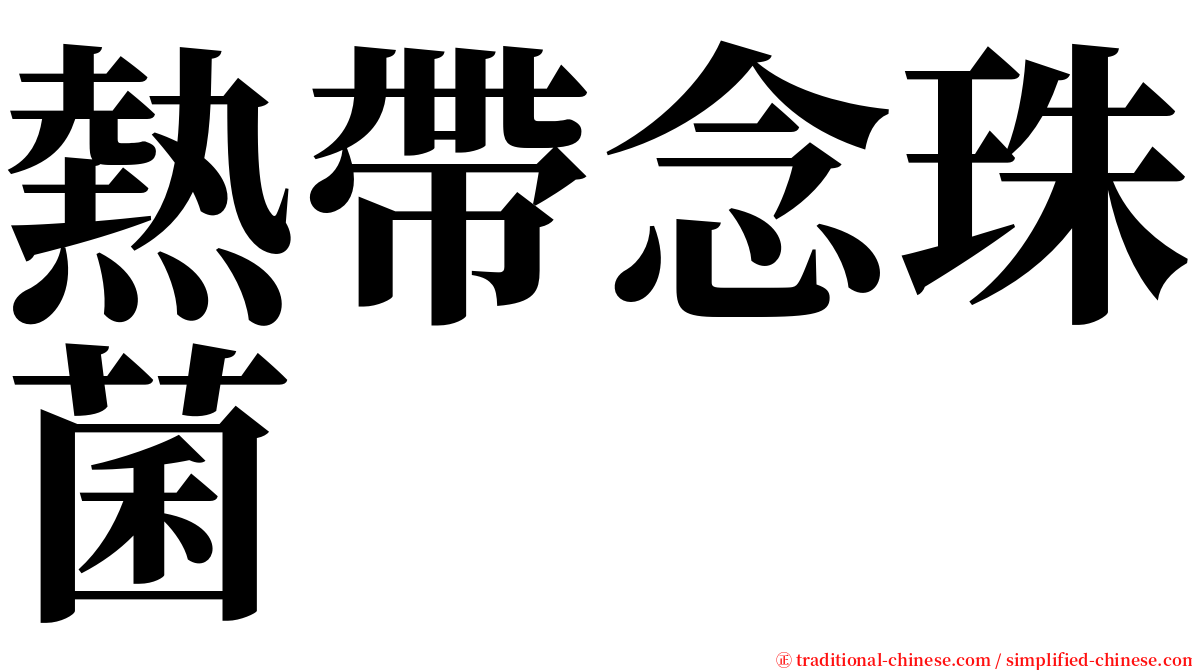 熱帶念珠菌 serif font
