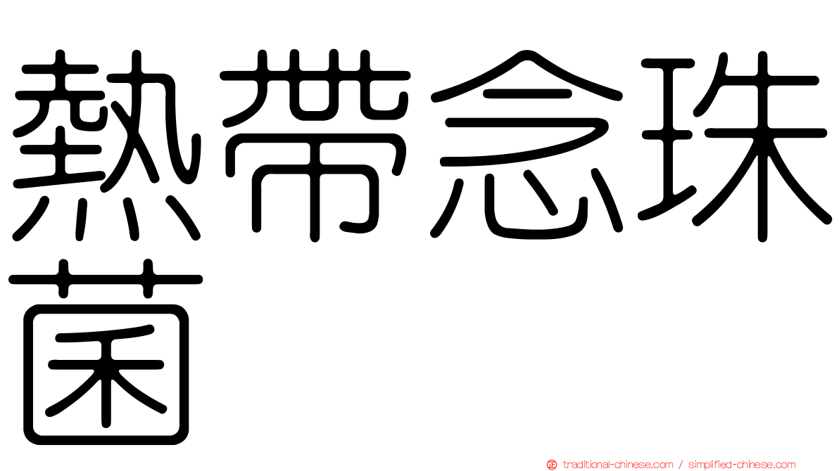 熱帶念珠菌