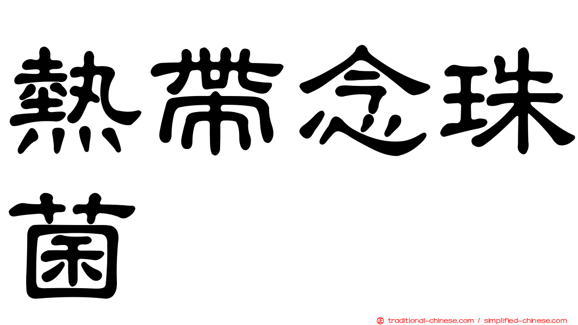 熱帶念珠菌
