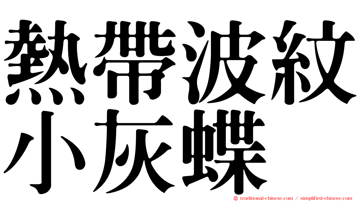 熱帶波紋小灰蝶
