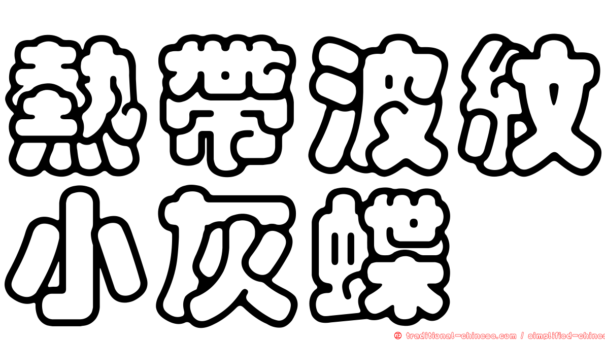 熱帶波紋小灰蝶
