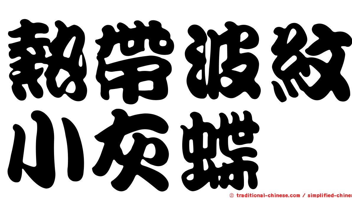 熱帶波紋小灰蝶