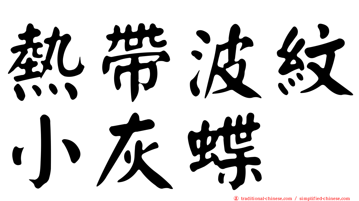 熱帶波紋小灰蝶