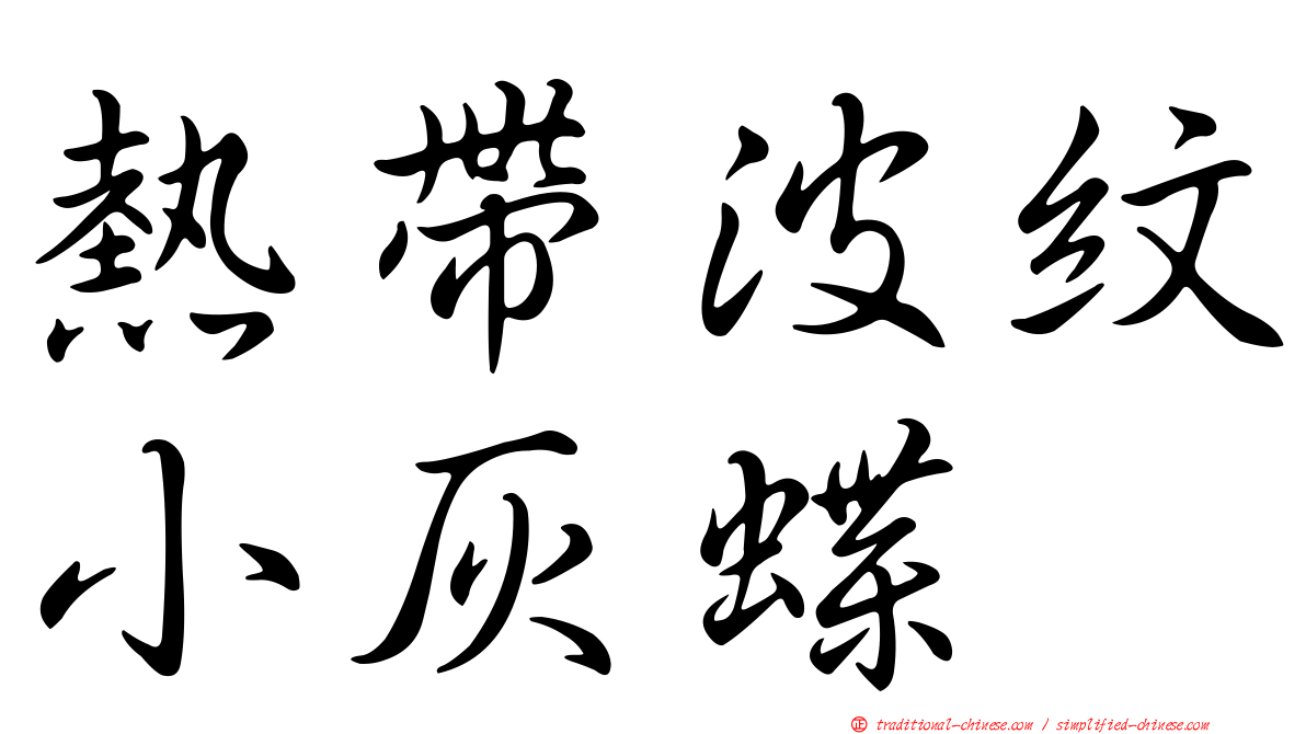 熱帶波紋小灰蝶