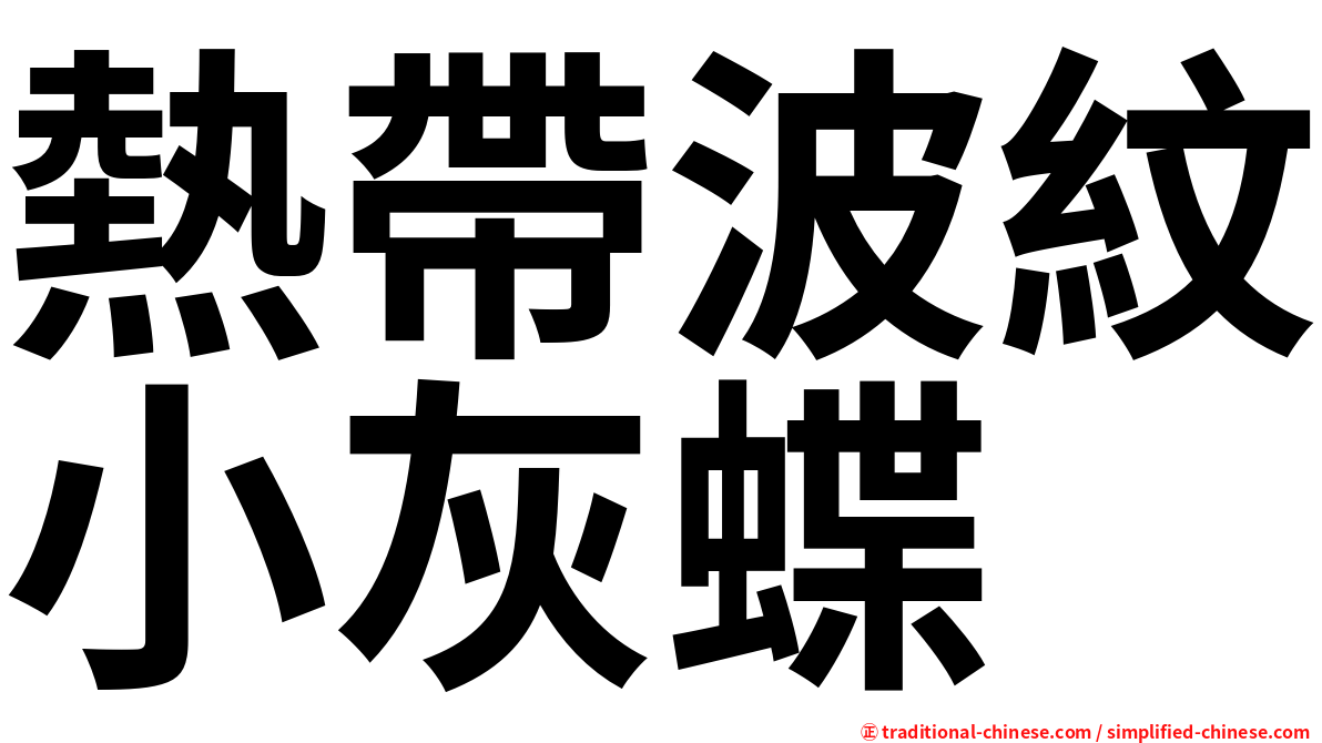 熱帶波紋小灰蝶