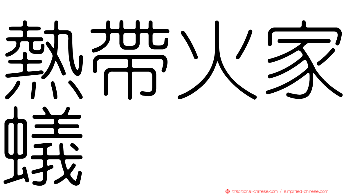 熱帶火家蟻