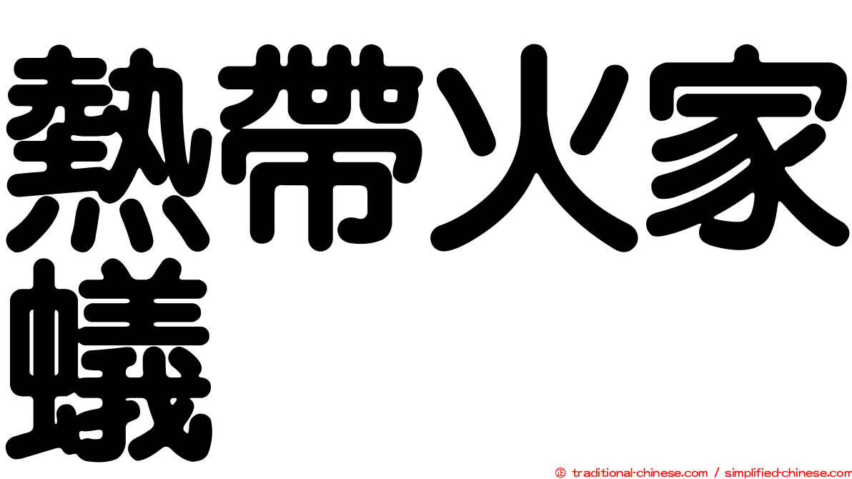 熱帶火家蟻