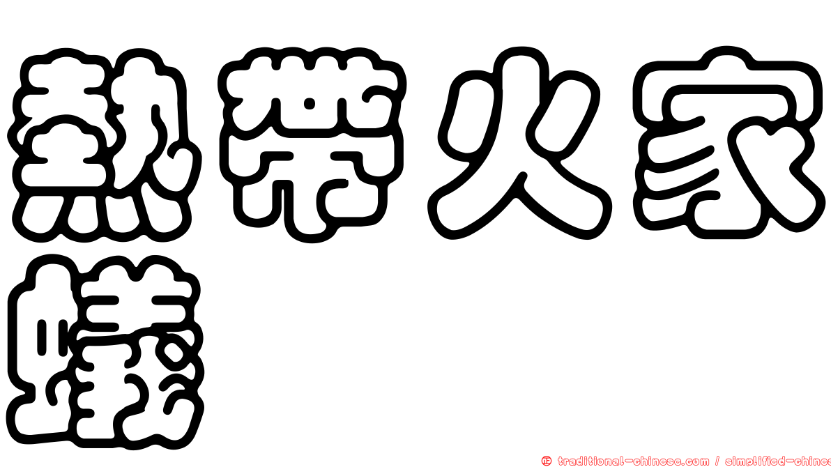 熱帶火家蟻