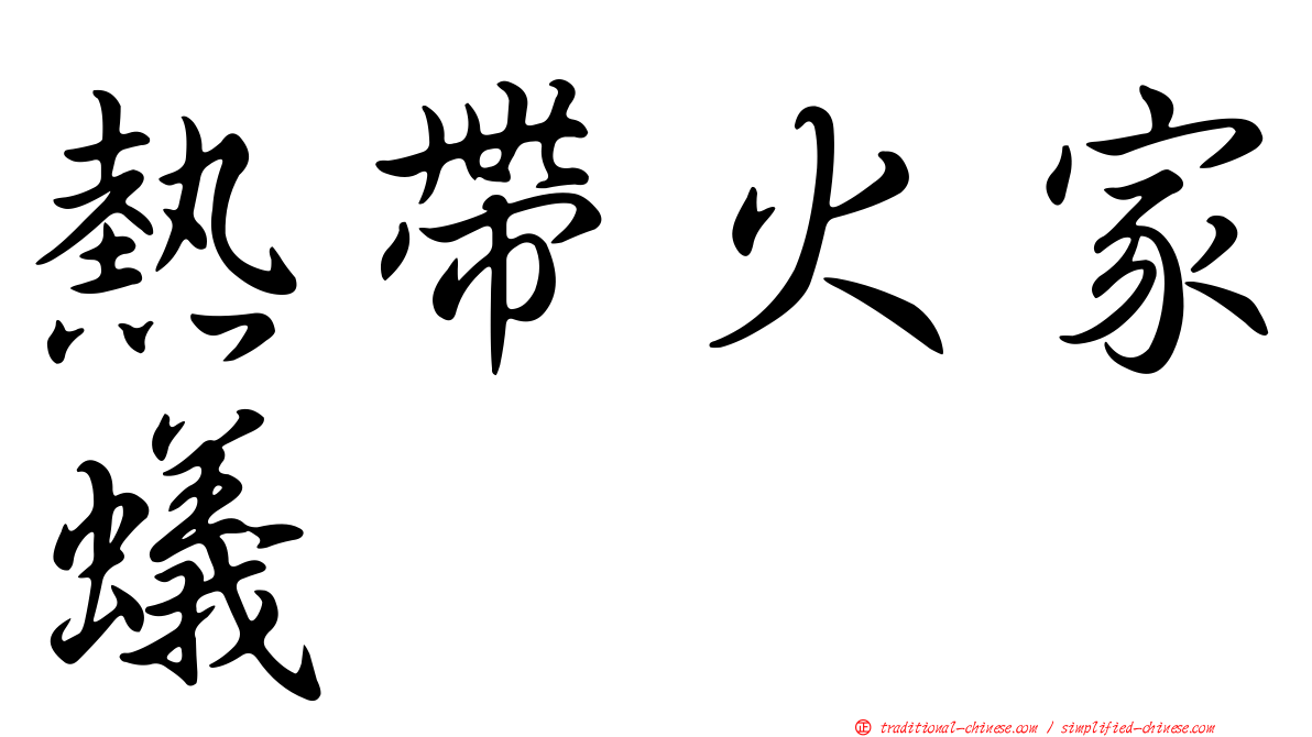 熱帶火家蟻