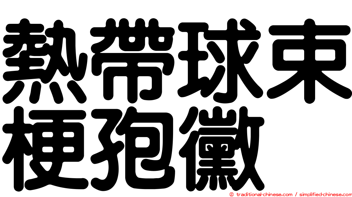 熱帶球束梗孢黴