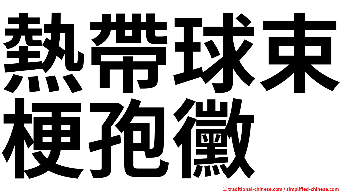 熱帶球束梗孢黴
