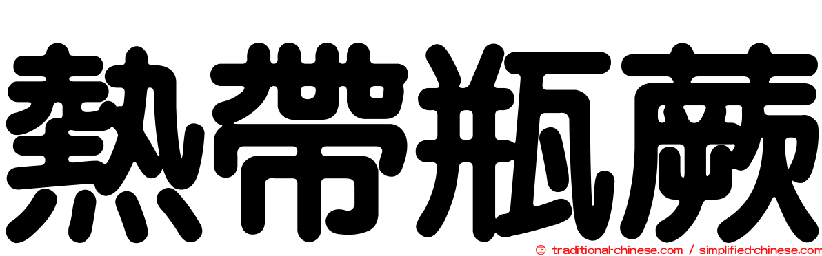 熱帶瓶蕨