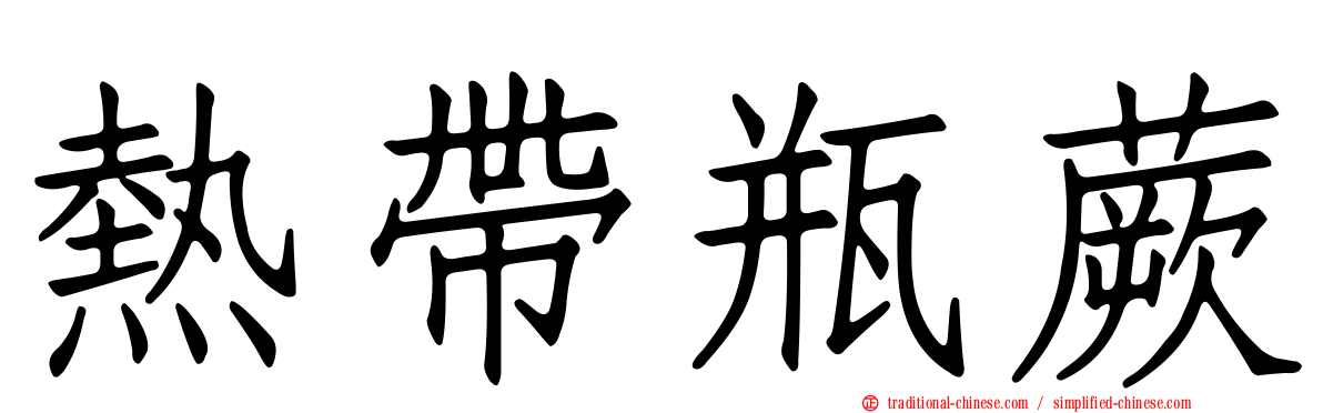 熱帶瓶蕨