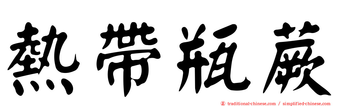 熱帶瓶蕨