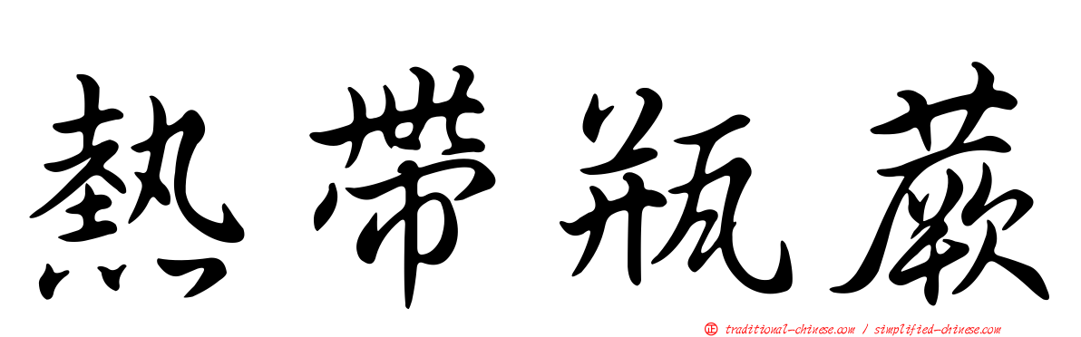 熱帶瓶蕨