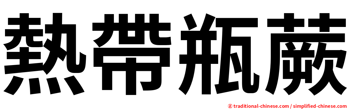 熱帶瓶蕨