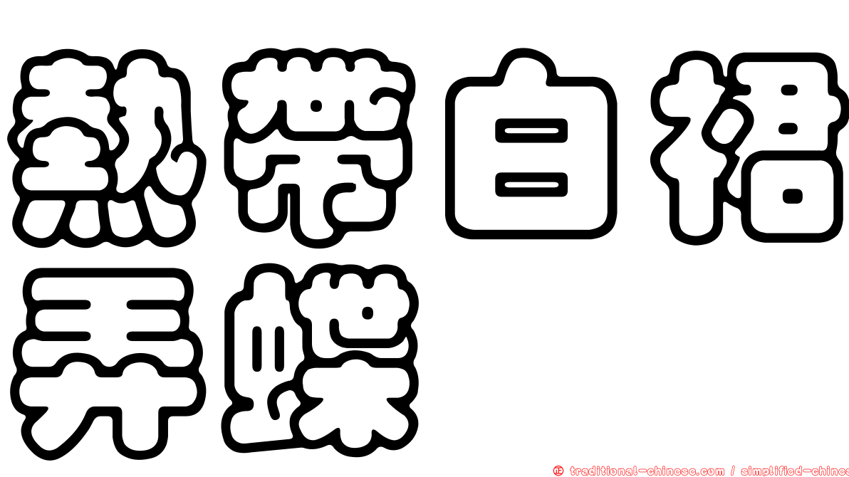 熱帶白裙弄蝶