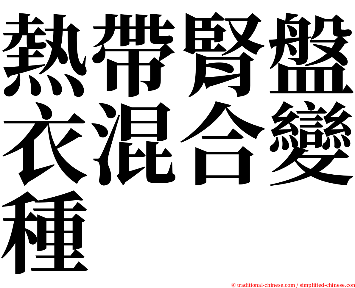 熱帶腎盤衣混合變種 serif font