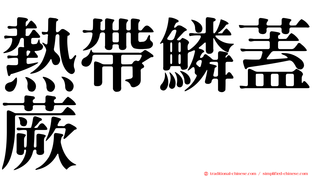 熱帶鱗蓋蕨