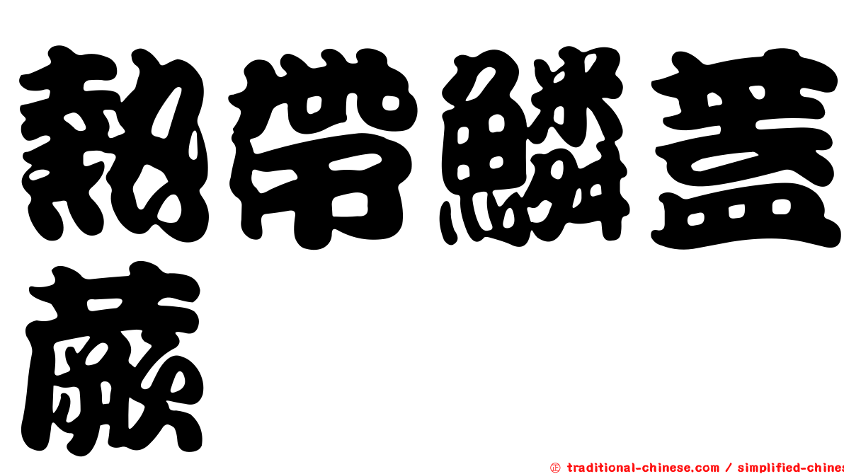 熱帶鱗蓋蕨