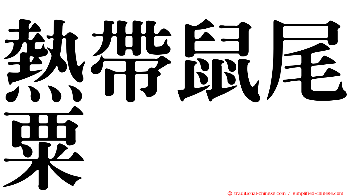 熱帶鼠尾粟