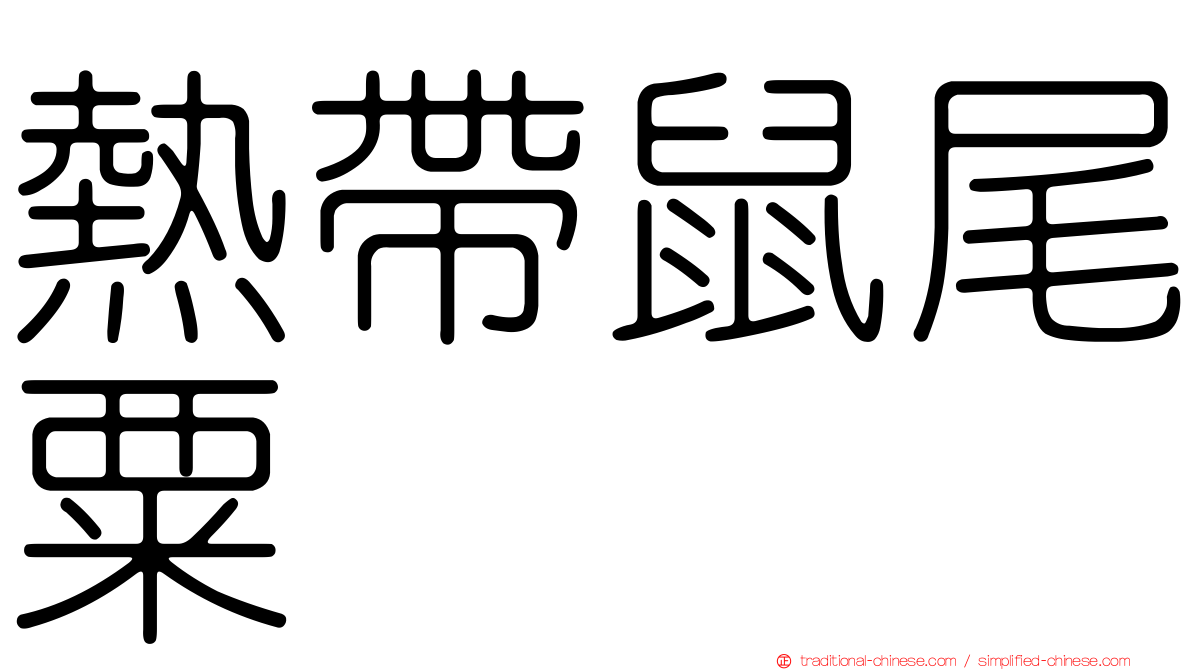 熱帶鼠尾粟