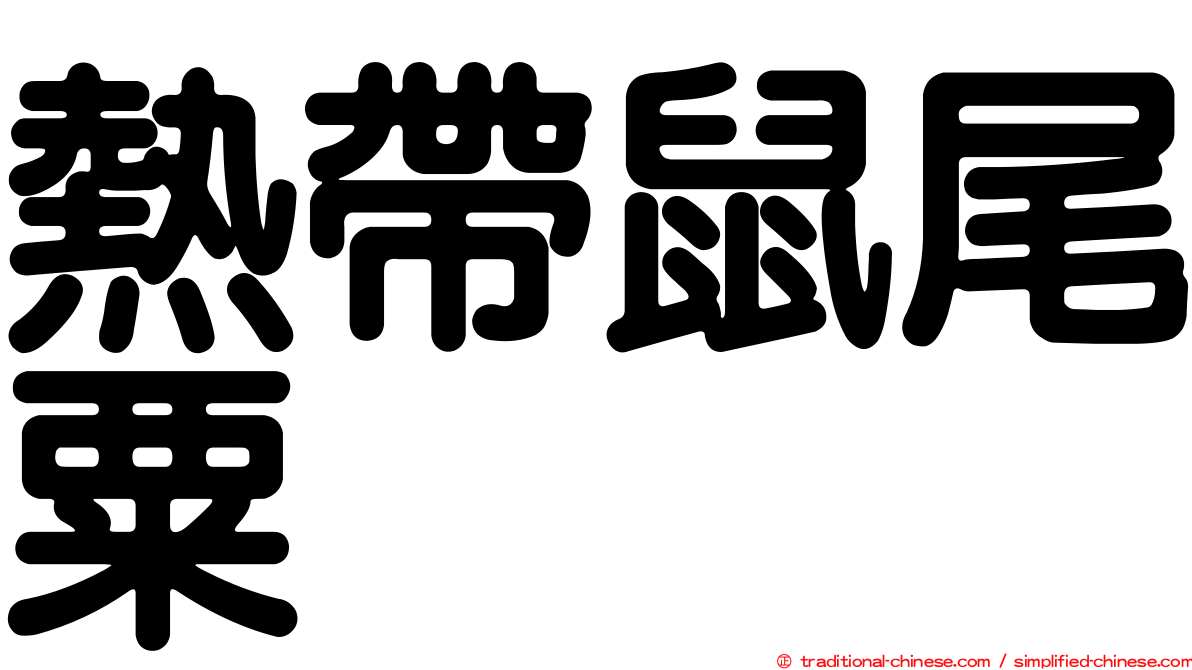 熱帶鼠尾粟