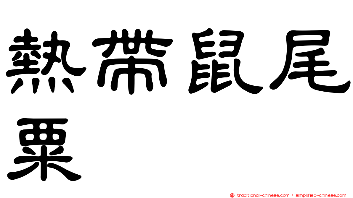 熱帶鼠尾粟