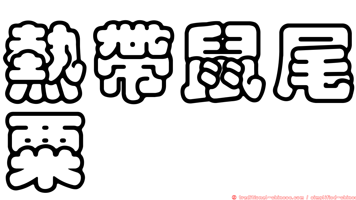 熱帶鼠尾粟