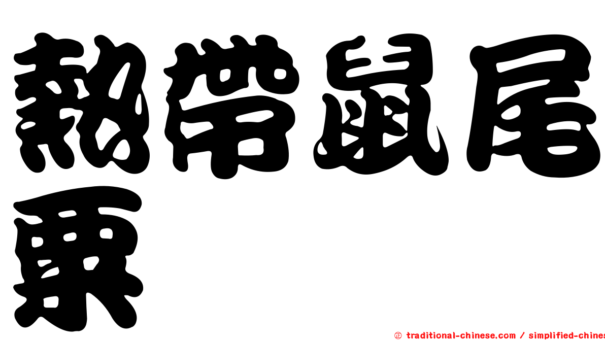 熱帶鼠尾粟