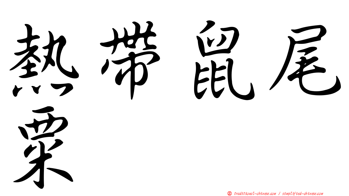 熱帶鼠尾粟