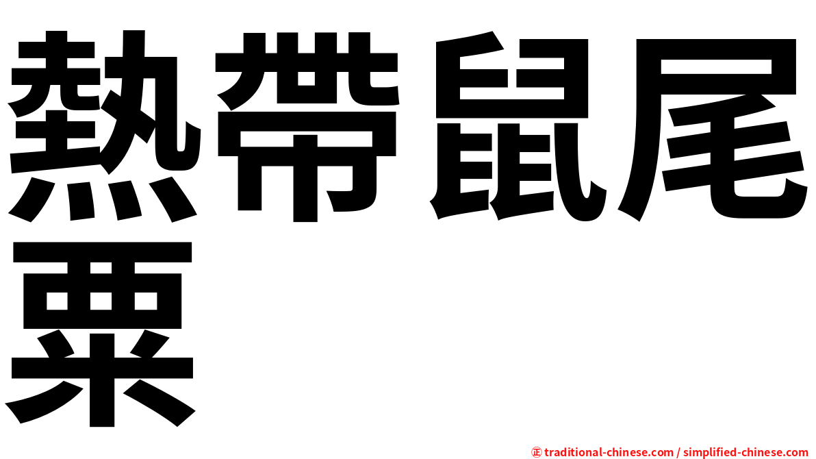 熱帶鼠尾粟