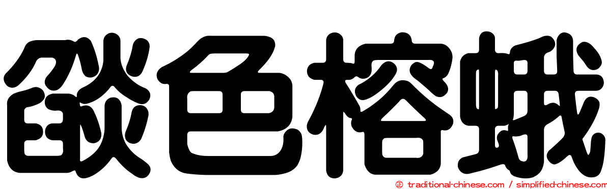 燄色榕蛾