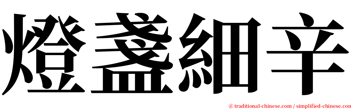 燈盞細辛 serif font